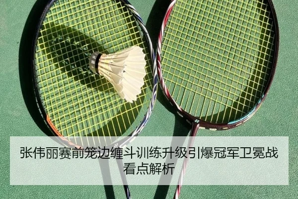 张伟丽赛前笼边缠斗训练升级引爆冠军卫冕战看点解析
